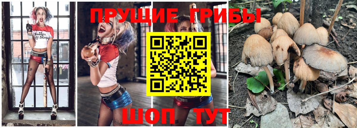 Галлюциногенные грибы Cubensis  Вход с VPN  Шелехов 