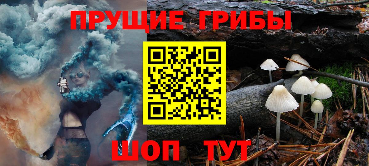 Галлюциногенные грибы Magic Shrooms Шелехов